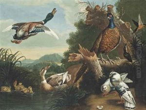 A Pheasant, Ducks, Pigeons And Other Birds By A River