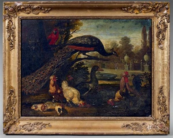Poules, Paon, Perroquet Et Cochons D'inde - view 1