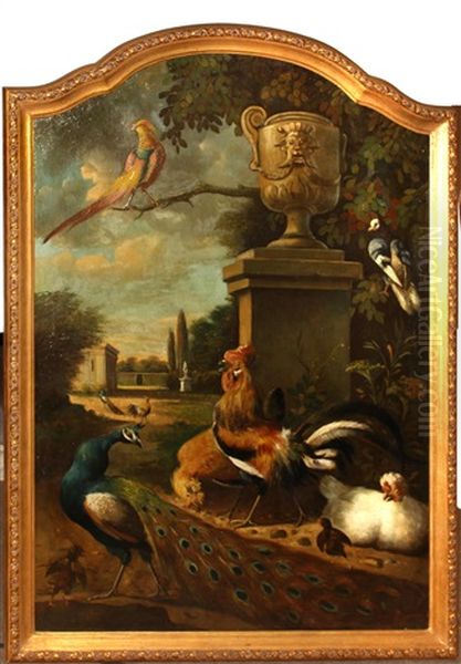 Ornamental Fowl In A Garden - view 1