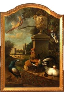 Ornamental Fowl In A Garden