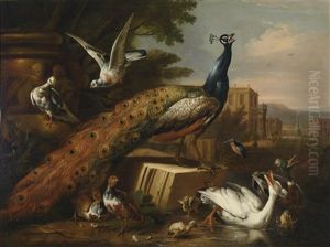 Ein Von Tauben, Huhnern Und Wasservogeln Umgebener Pfau In Einem Schlosspark