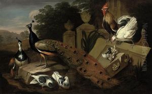 A Male And A Female Peocock, Two Doves, A Rooster And A Hen With Their Chicks, And A Patridge Amongst Antique Vases And