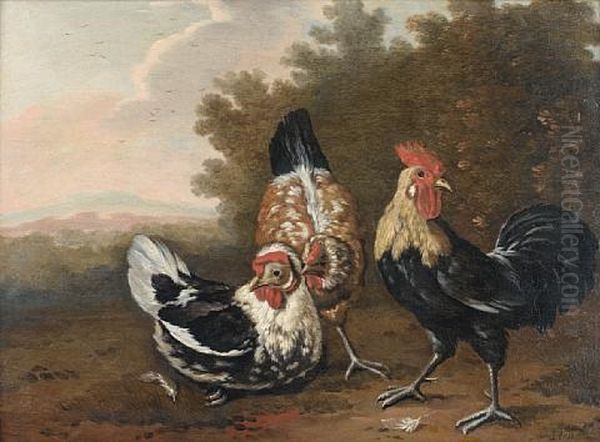 Ornamental Fowl In A Wooded Landscape - view 1