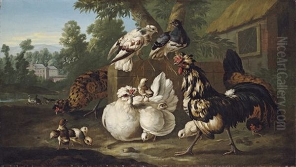 Cockerels, Chicks And Pigeons In A Farmyard - view 1
