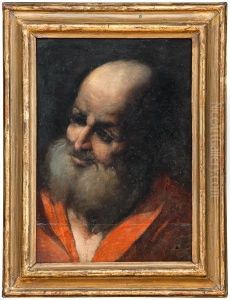 Testa Di Apostolo