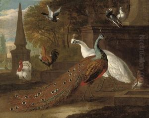A Peacock, A Peahen, A Turkey, A Cockeral And Pigeons In A Classical Landscape