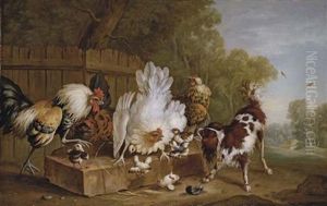 A Spaniel Disturbing Chickens By A Fence In A Landscape