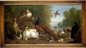 Pheasants, Poultry And Other Birds In A Formal Park