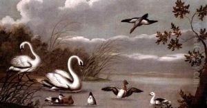 A River Landscape With Swans And Ducks by Pieter Casteels III