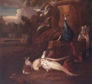 Peacocks, White Pheasants, Doves, A Hen, A Cockerel, A Rabbit, Together In A Parkland Landscape by Pieter Casteels III