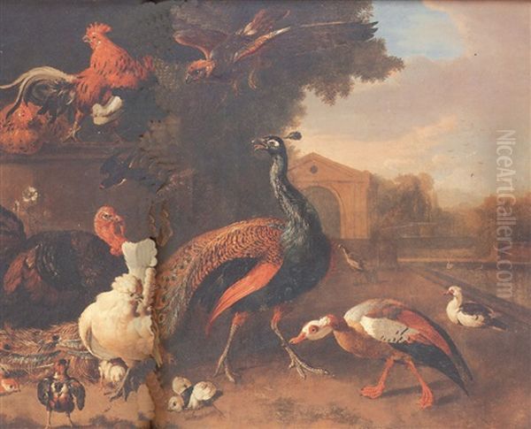 Ornamental Fowl By A Pool - view 1