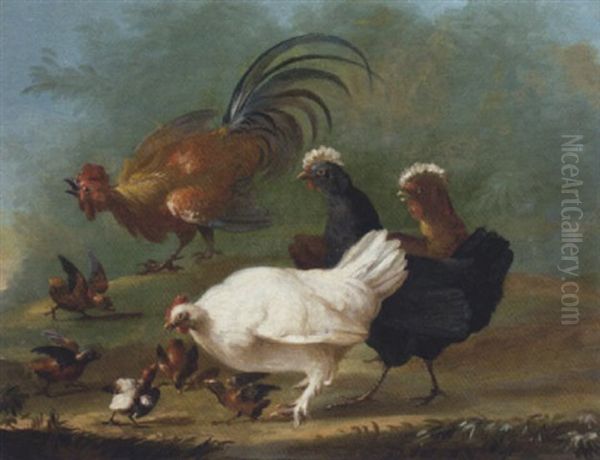Chickens, Chicks And A Cockerel In A Landscape - view 1