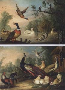 Peacock, Peahen And Other Fowl In A Landscape