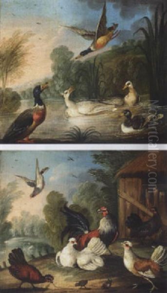 Pigeon, Hens, And Their Young In A Farmyard - view 1