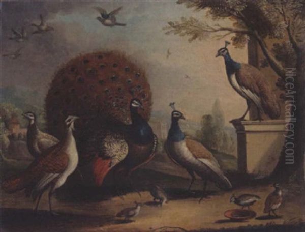 A Peacock And Peahens In An Ornamental Landscape - view 1