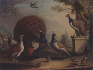 A Peacock And Peahens In An Ornamental Landscape by Pieter Casteels III