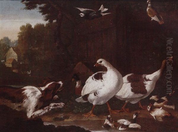 Spaniels Startling Geese And Ducks In A Farmyard - view 1