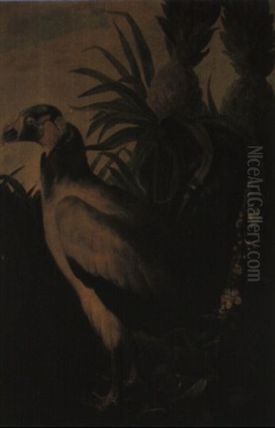 A Vulture By A Pineapple Tree - view 1
