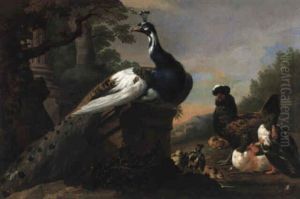 Sitzender Pfau, Enten, Ein Huhn Und K_ken Am Wasser