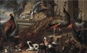 A Peacock And A Peahen And Other Birds, A Dog And A Weasel