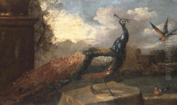 A Peacock And Other Birds In A Landscape - view 1