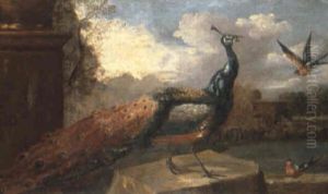 A Peacock And Other Birds In A Landscape by Pieter Casteels III