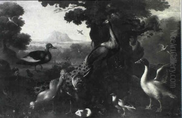 A Peacock, A Rooster, Ducks, A Guinea Pig And Other Birds In A Landscape - view 1