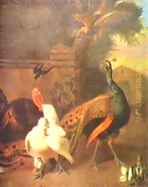 A Peacock, Turkey, Chicken And Chicks.... - view 1