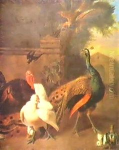 A Peacock, Turkey, Chicken And Chicks....