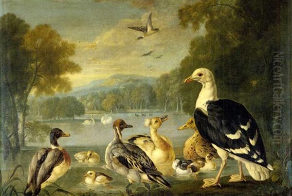 Poultry And Doves In A Wooded Landscape - view 1