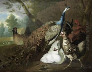 A Peacock And Other Fowl In A Farmyard by Pieter Casteels the Elder