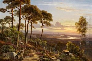 Waldlandschaft Mit Blick Auf Dresden Und Die Elbe