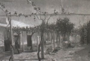 Patio De Estancia
