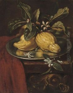 Lemons And Blossom On A Partly-draped Table by Giovanni Paolo Castelli (lo Spadino)