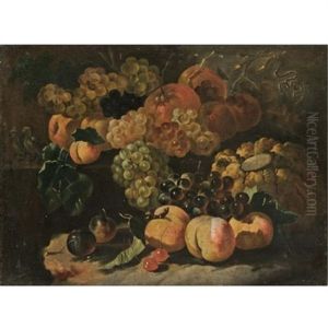 A Still Life With Grapes, Plums, Peaches, Apricots, Cherries, A Melon And Various Other Fruit by Giovanni Paolo Castelli (lo Spadino)