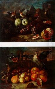 Nature Morte Aux Fruits Et Aux Oiseaux by Giovanni Paolo Castelli (lo Spadino)