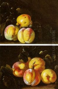 Natures Mortes Aux Peches Natures Mortes Aux Peches