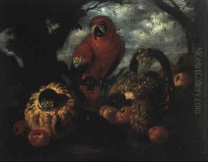 Nature Morte Au Perroquet by Giovanni Paolo Castelli (lo Spadino)