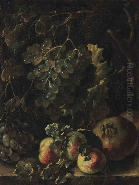 Grapes And Pomegranates On A Ledge - view 1