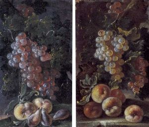 Uva Nera, Pesche E Prugne (+ Uva Bianca E Pesche; 2 Works) by Bartolomeo Castelli the Younger