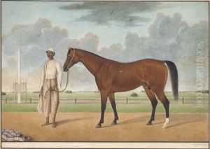 A Bay Horse Standing With A Groom A Bay Horse Standing With A Groom