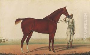 A Horse And Groom A Horse And Groom