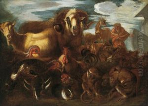 Mose Fa Gli Animali Entrare Nell'arca by Francesco Castiglione
