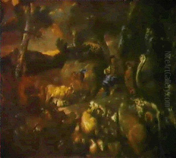 Orfeo Che Incanta Gli Animali - view 1
