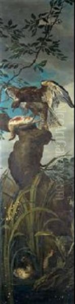 Aguilucho Y Anades - view 1