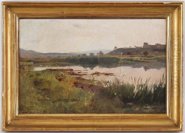 Les Marais De Gaillard - view 1