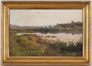 Les Marais De Gaillard