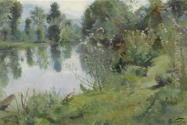 Weiherlandschaft Im Sommer - view 1