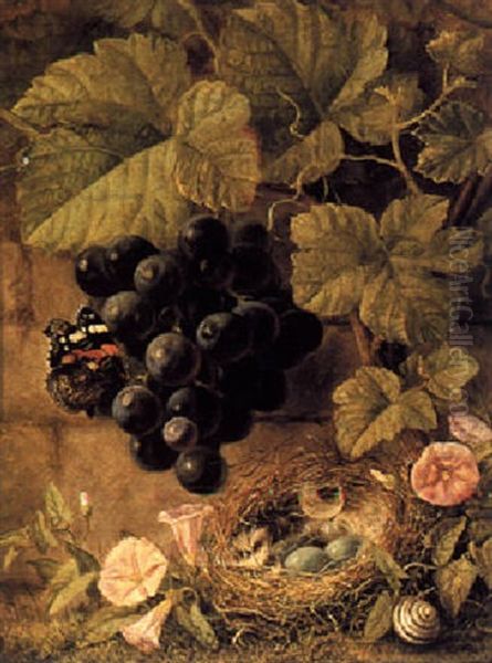 A Still Life With Grapes And A Bird's Nest - view 1