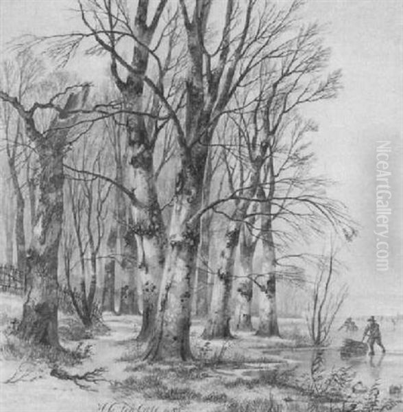 Verschneiter Wald Mit Flach Einfallender Sonne - view 1